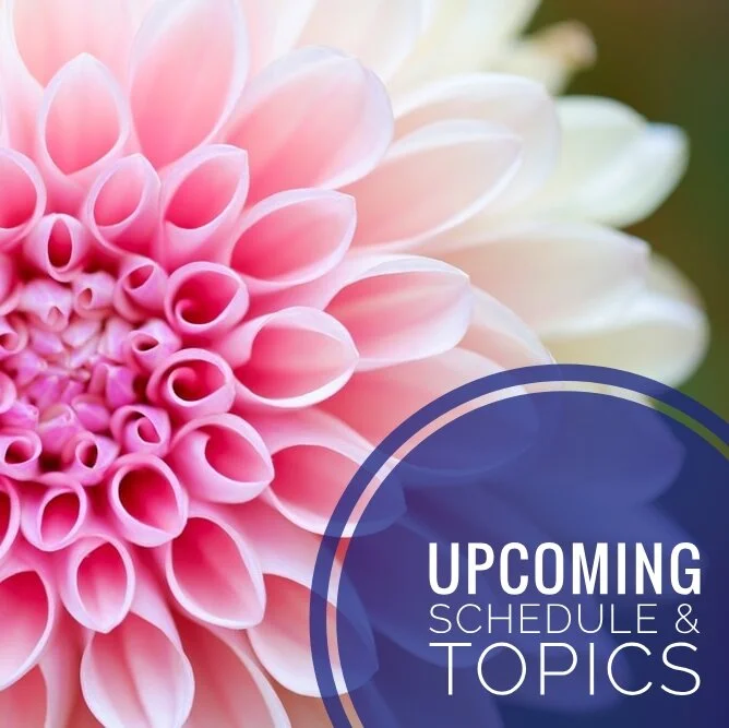 Week 1 #30DTAOL Schedule