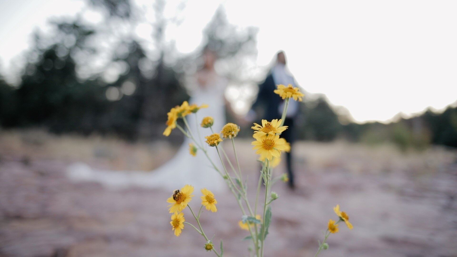 Sedona Wedding Videographer