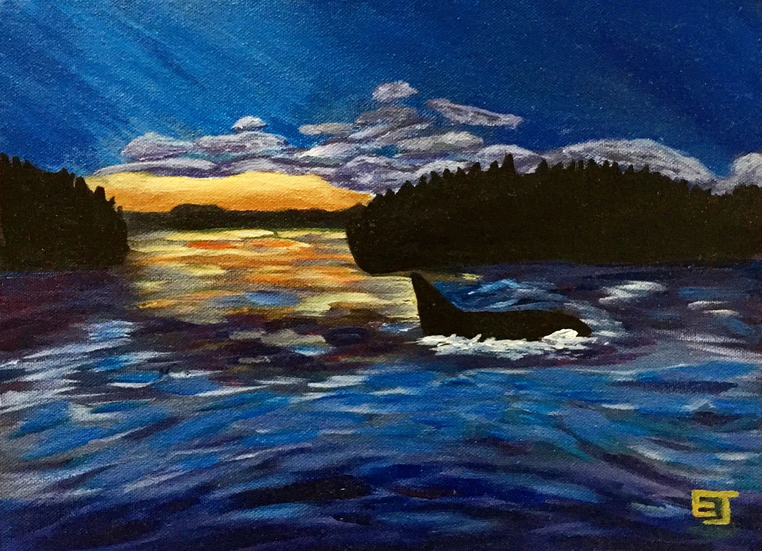 Shearwater