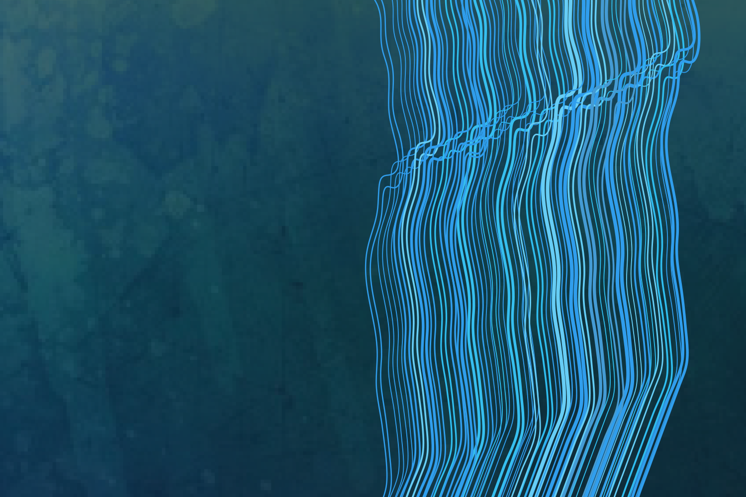 Website_AHF_01-Recovered.png