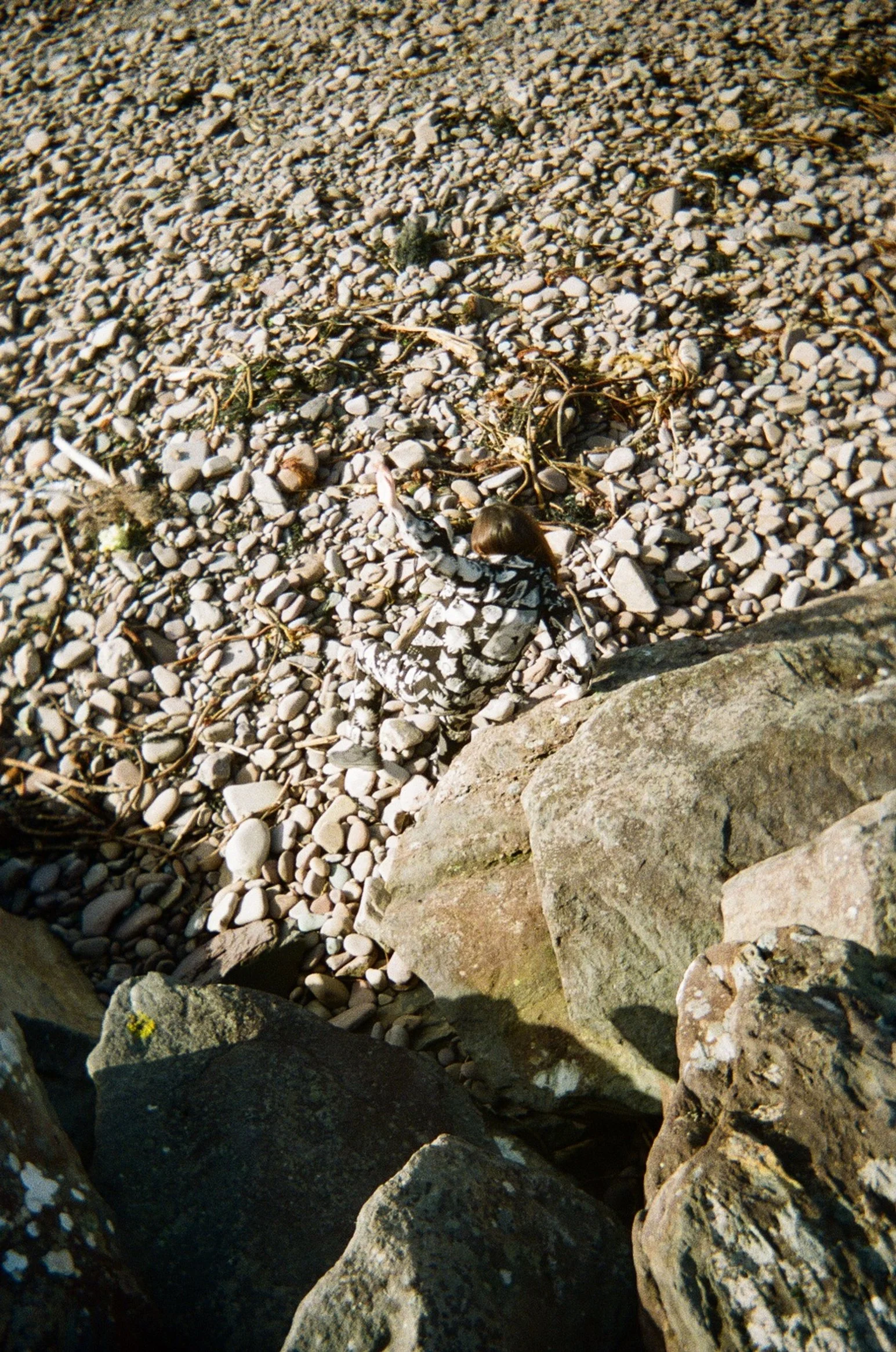 1414__00.jpg