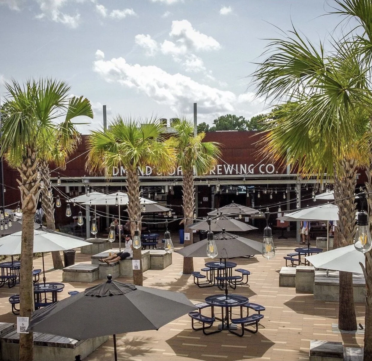 Covid Friendly spots in Charleston