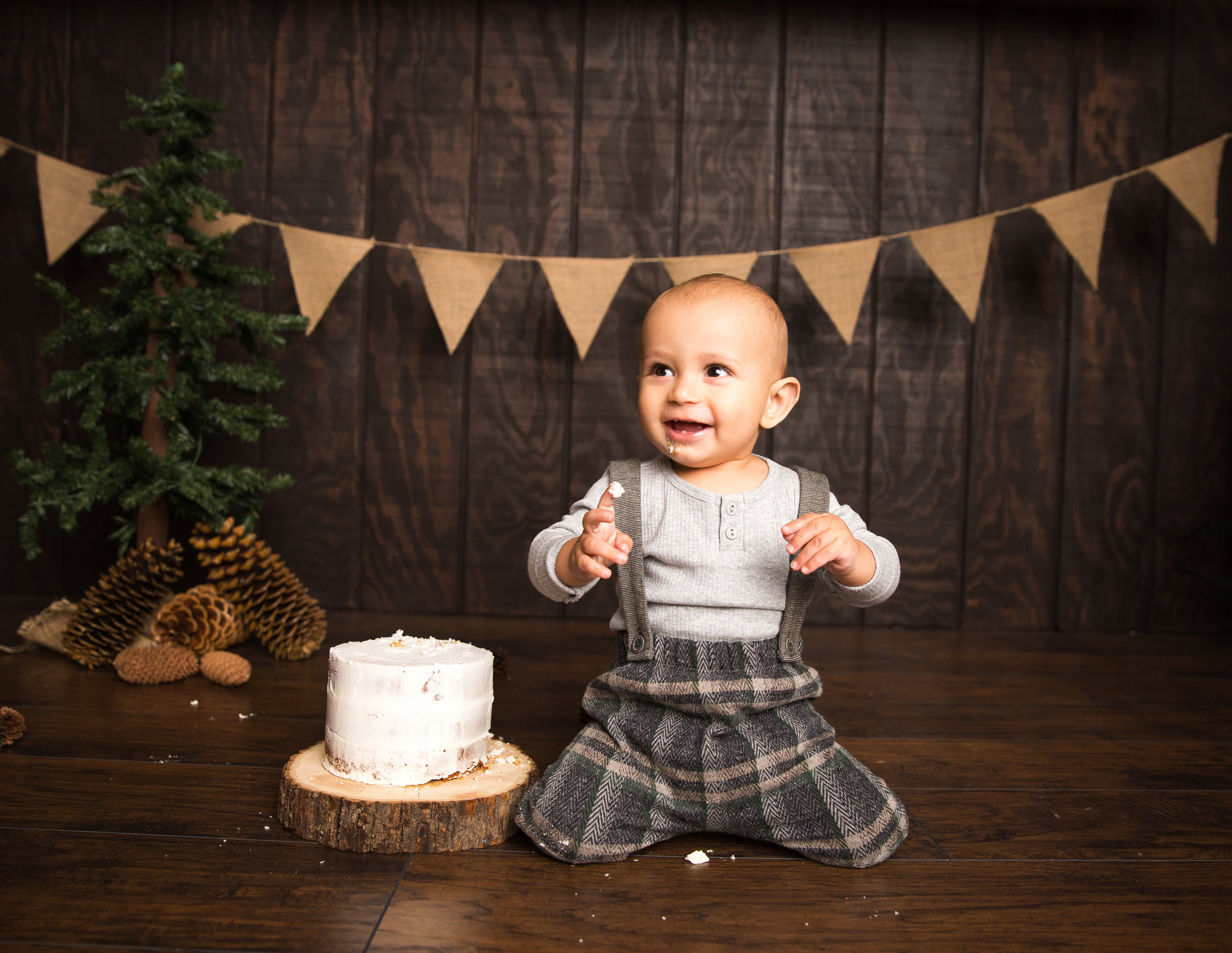 Pine Cone Cake Smash-Pine Cone Cake Smash-0024.jpg