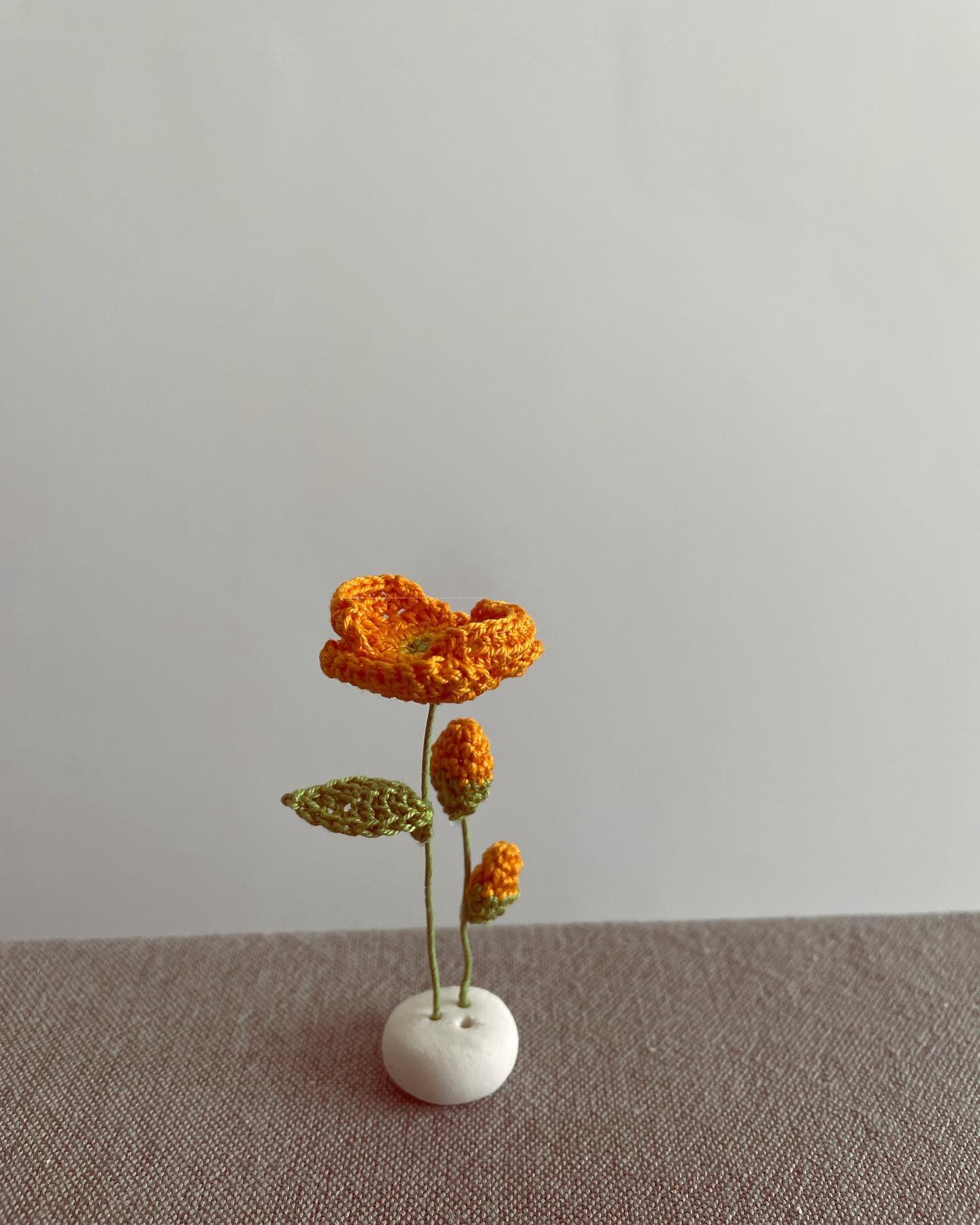 Orange poppy flower 
These tiny flowers are about 7-10 cm tall. I love how delicate they are. 
.
.
.
.
.
.
#crochet#crochetflower#crochetpoppy#poppyflower