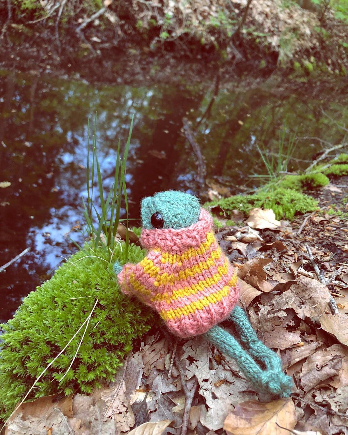 How adorable is this Froggie looking out into the water? He is loving his new home. Photo is from @Marijke Vandevyvere. Thank you so much for sharing Froggie&rsquo;s adventures. 
.
.
.
. 
.
#froggie#knittedfrog#dotspebblesknits #knitting