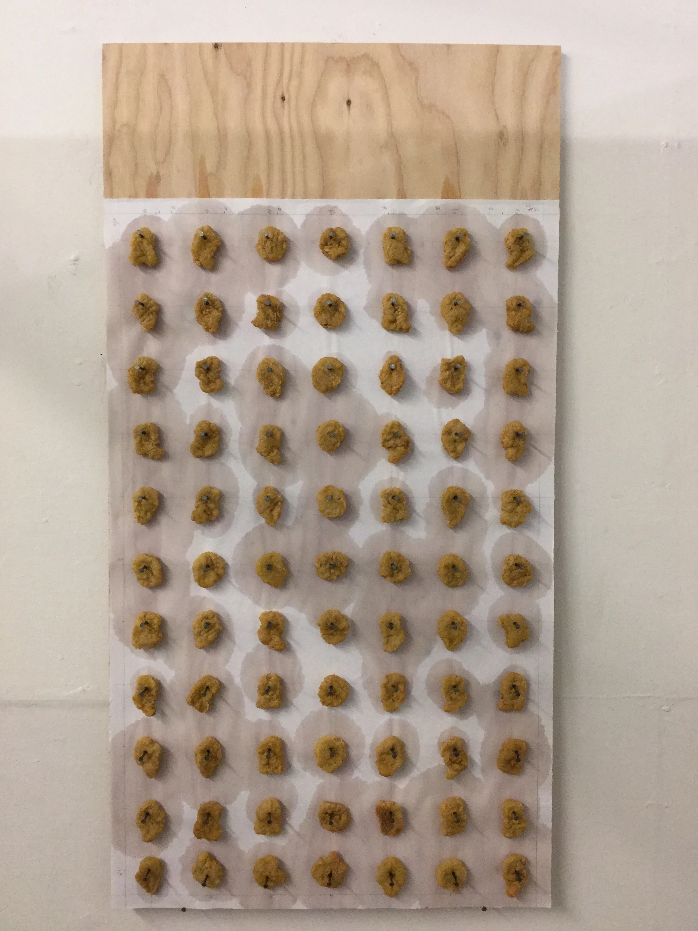 Variation in Chicken McNuggets 2.JPG