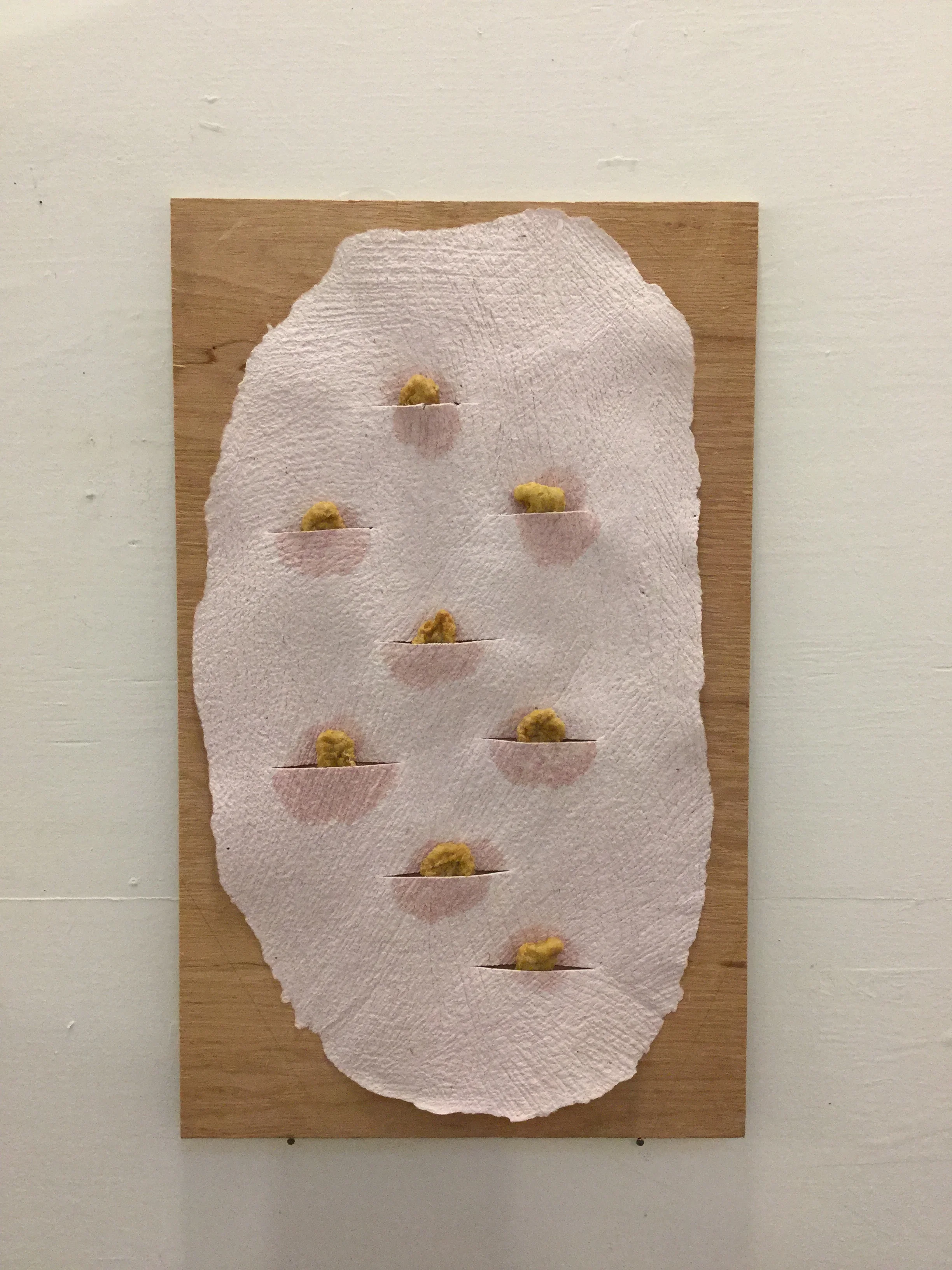 Variation in Chicken McNuggets.JPG