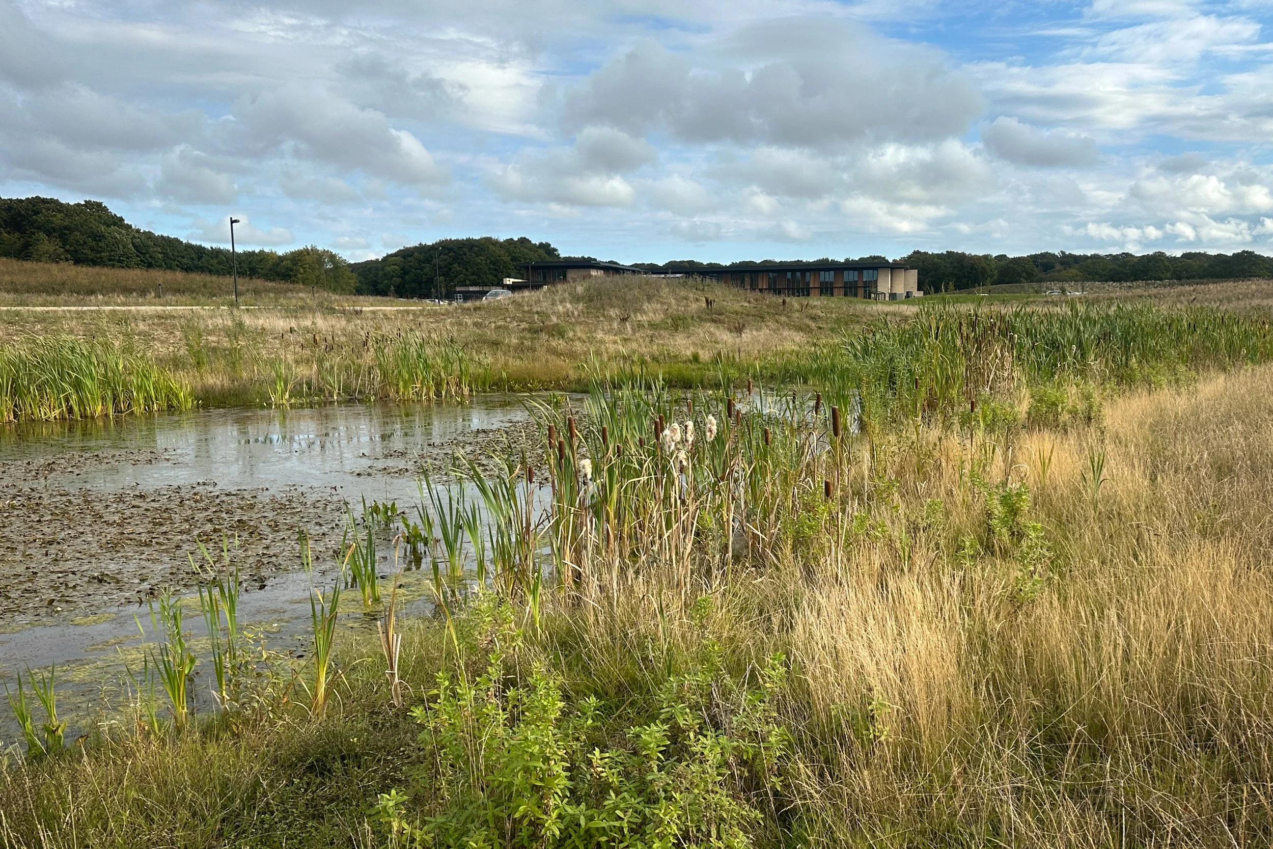 Mølholm-32.jpg