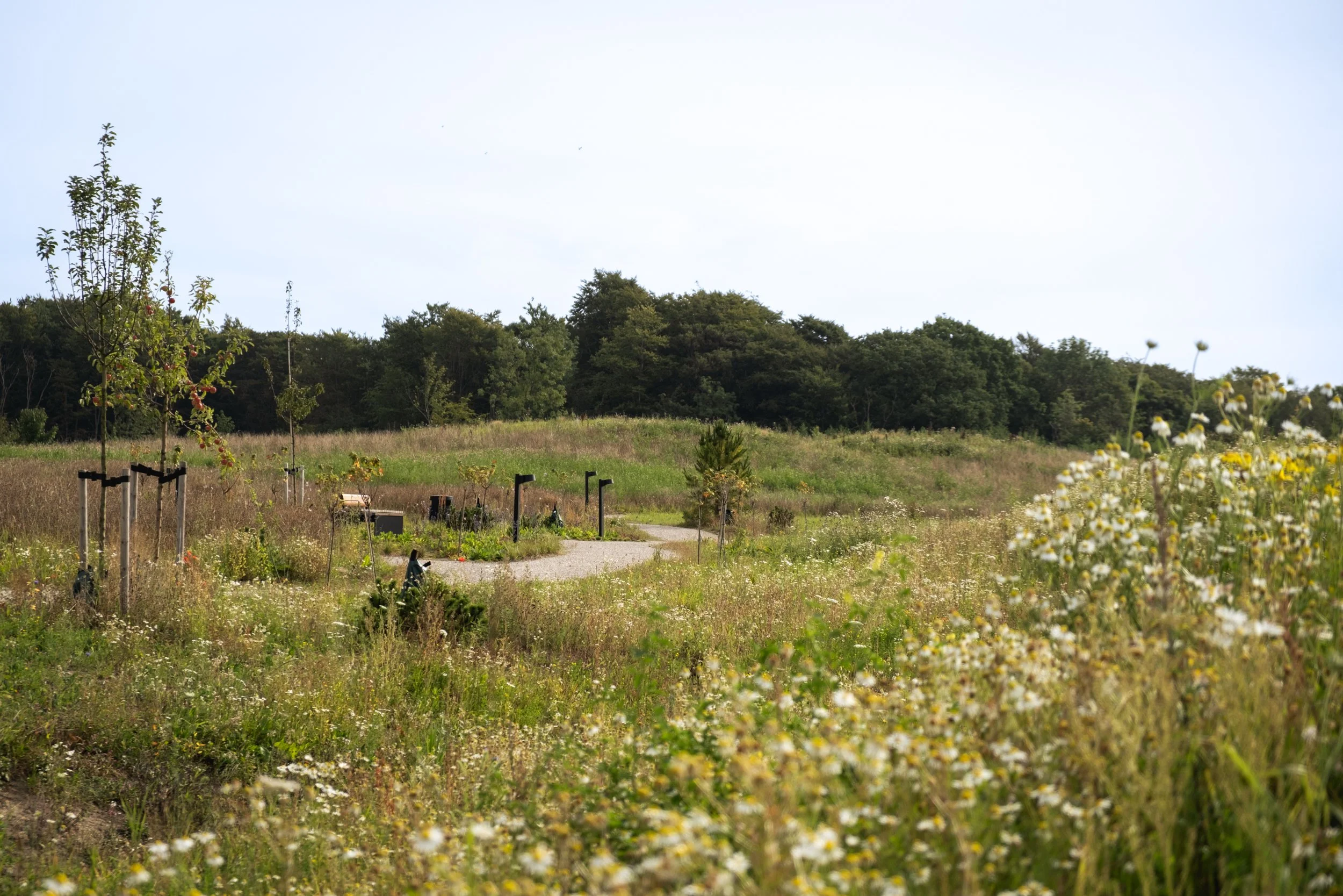 Mølholm-17.jpg