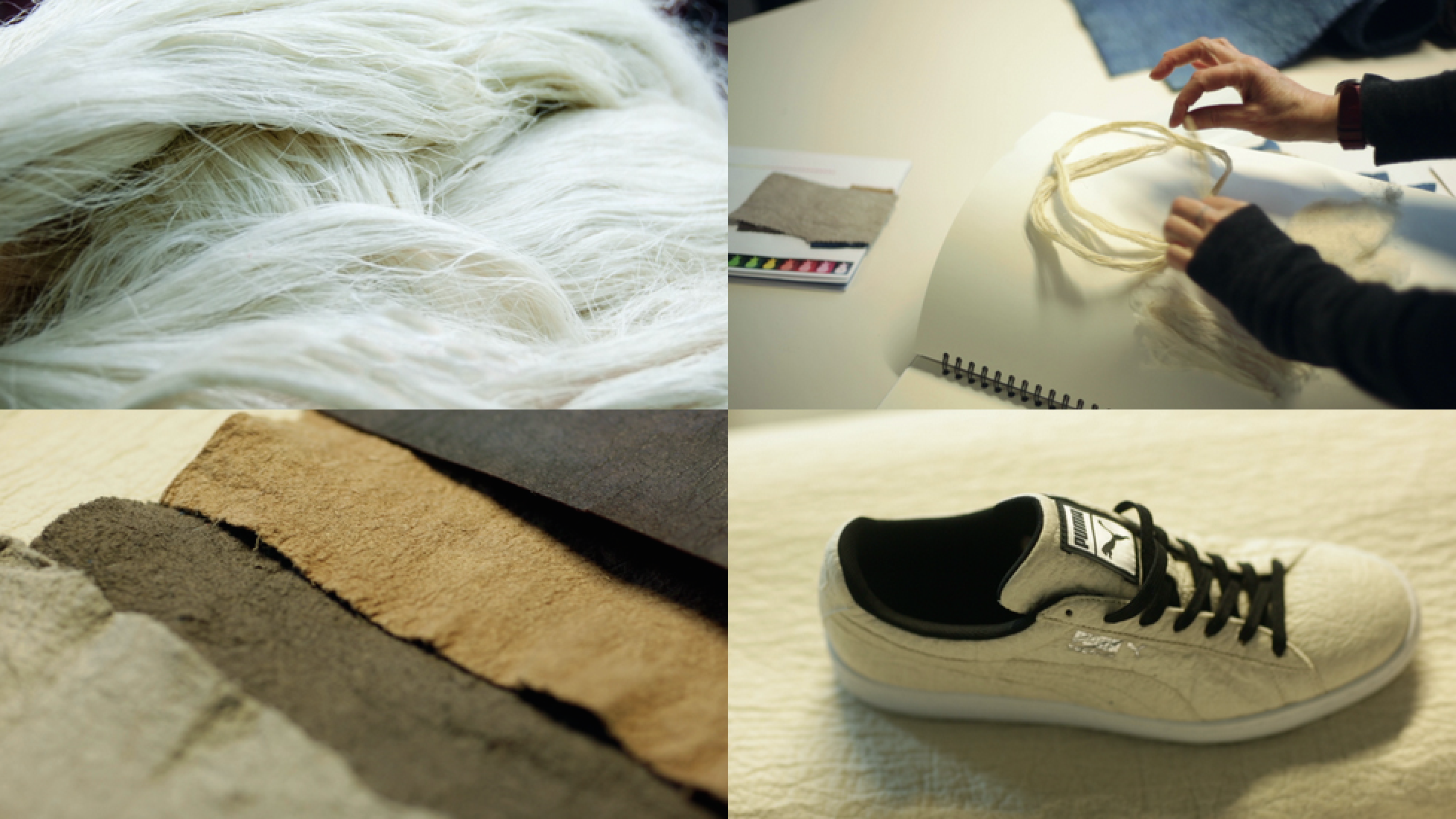 Plant Based Leather Alternative Innovators: Piñatex 