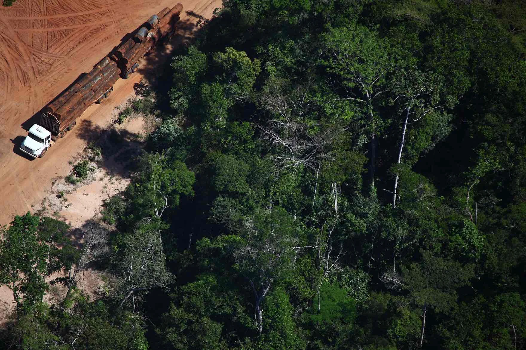 The Deforestation of God’s Earth - Pope Francis Speaks Out