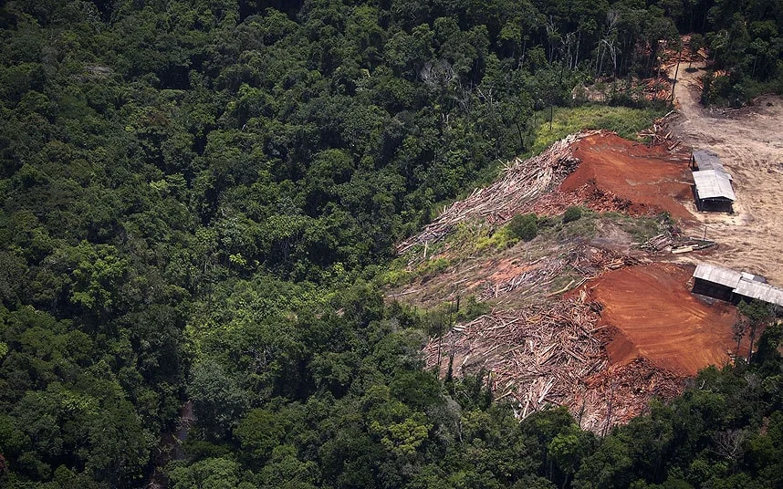The Deforestation of God’s Earth - Pope Francis Speaks Out