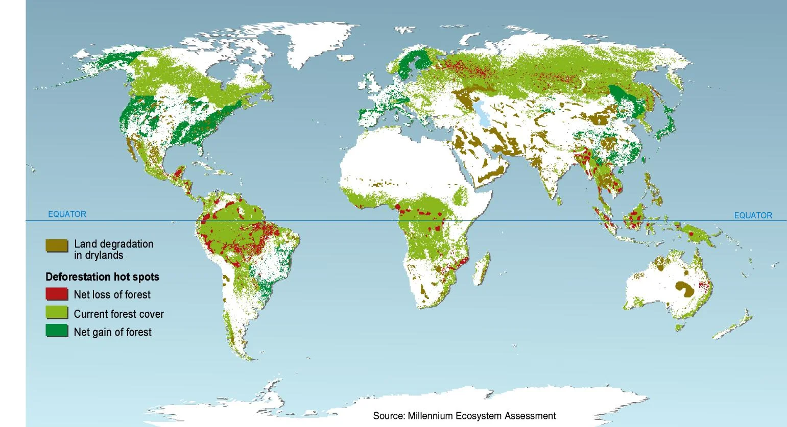The Deforestation of God’s Earth - Pope Francis Speaks Out