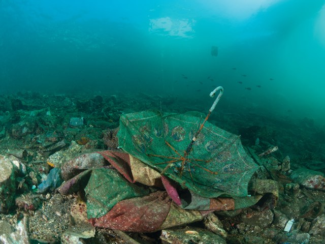 The Great Pacific Garbage Patch - A New Continent Emerging on the Surface of the Earth