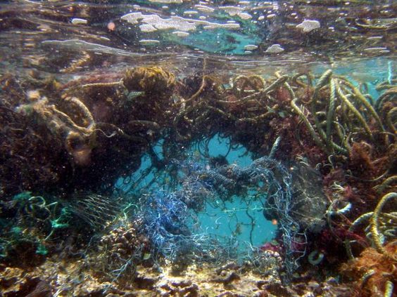 The Great Pacific Garbage Patch - A New Continent Emerging on the Surface of the Earth