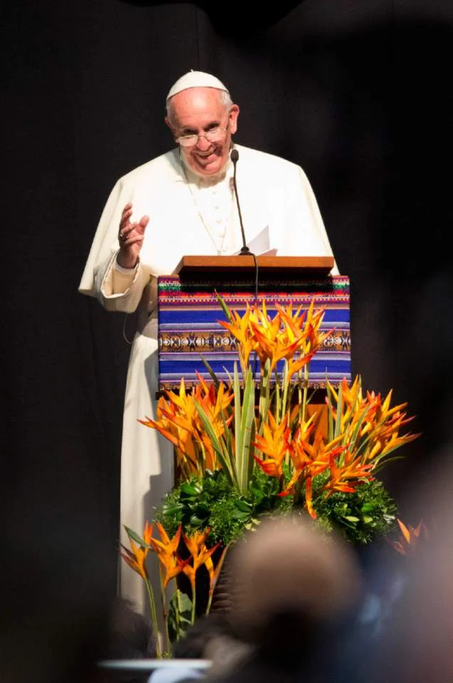 The Deforestation of God’s Earth - Pope Francis Speaks Out