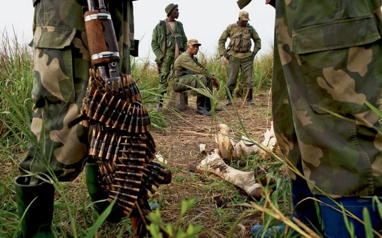 The Ivory Trade and Never Ending War Against Poaching