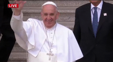 The Deforestation of God’s Earth - Pope Francis Speaks Out