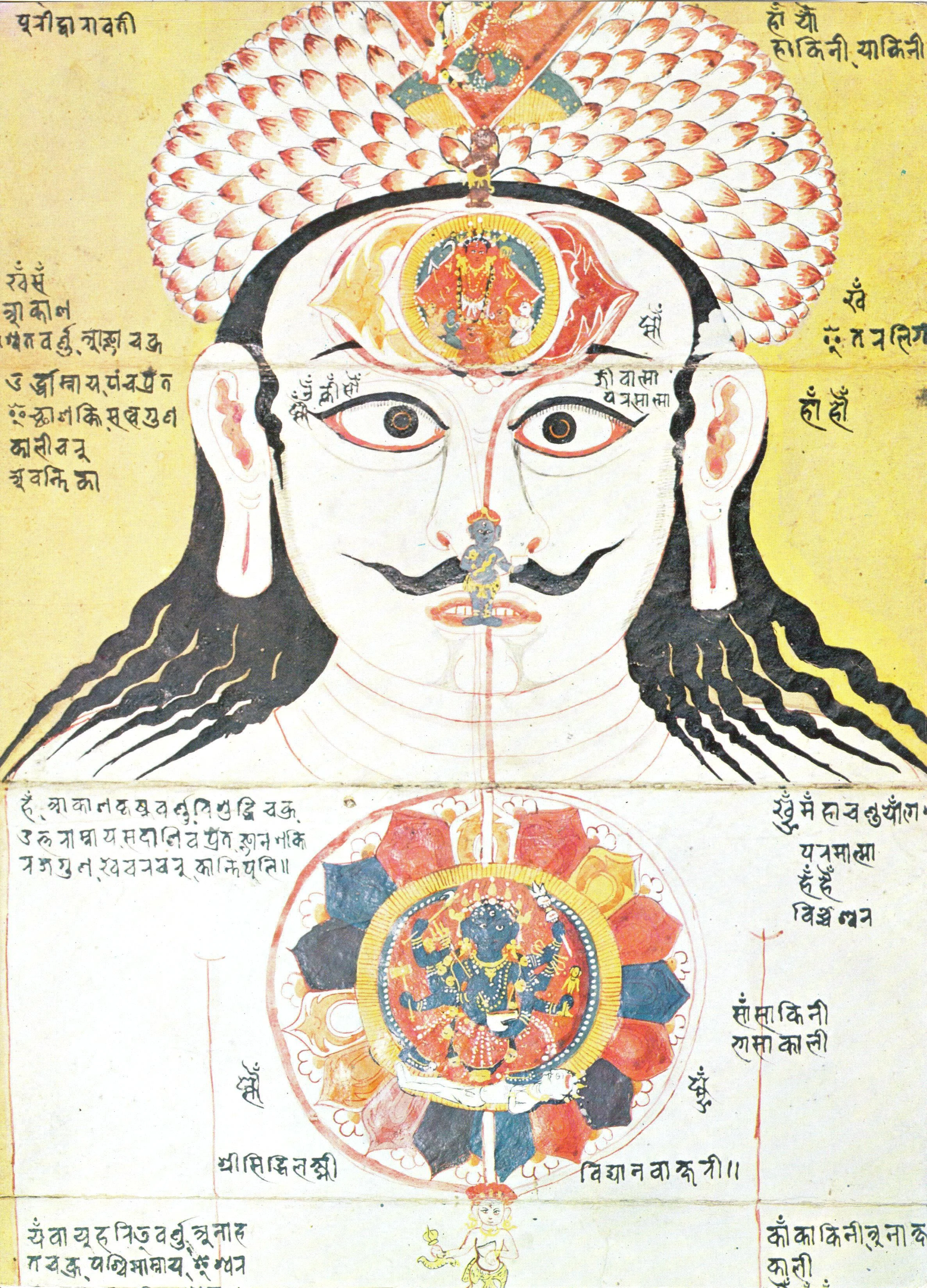 Keep your Third Eye Open - Foods That Activate And Decalcify Your Pineal Gland of the Endocrine System
