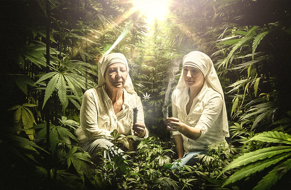 What is CBD? - Meet the New Superfood