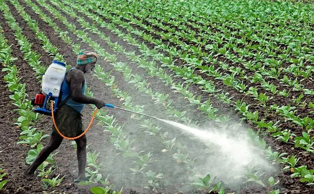 Poor Nutrition Produce may be Sabotaging our Health