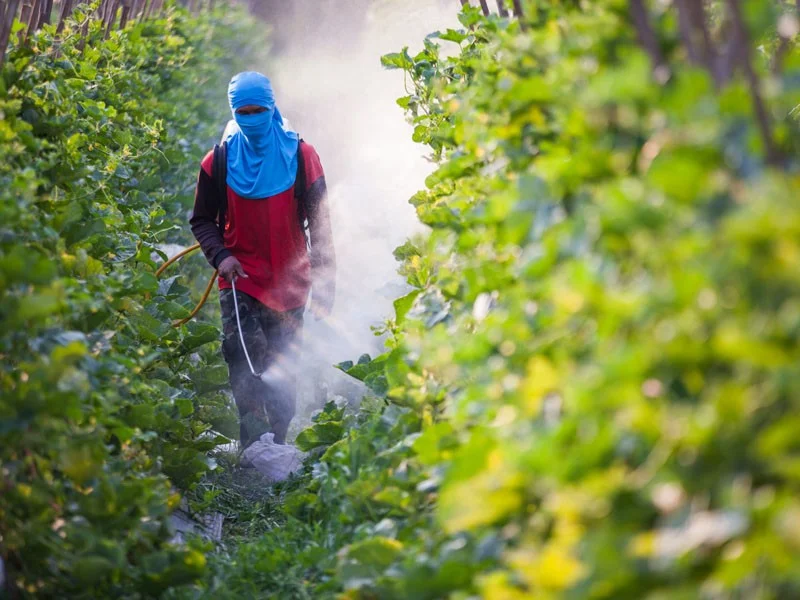 Poor Nutrition Produce may be Sabotaging our Health