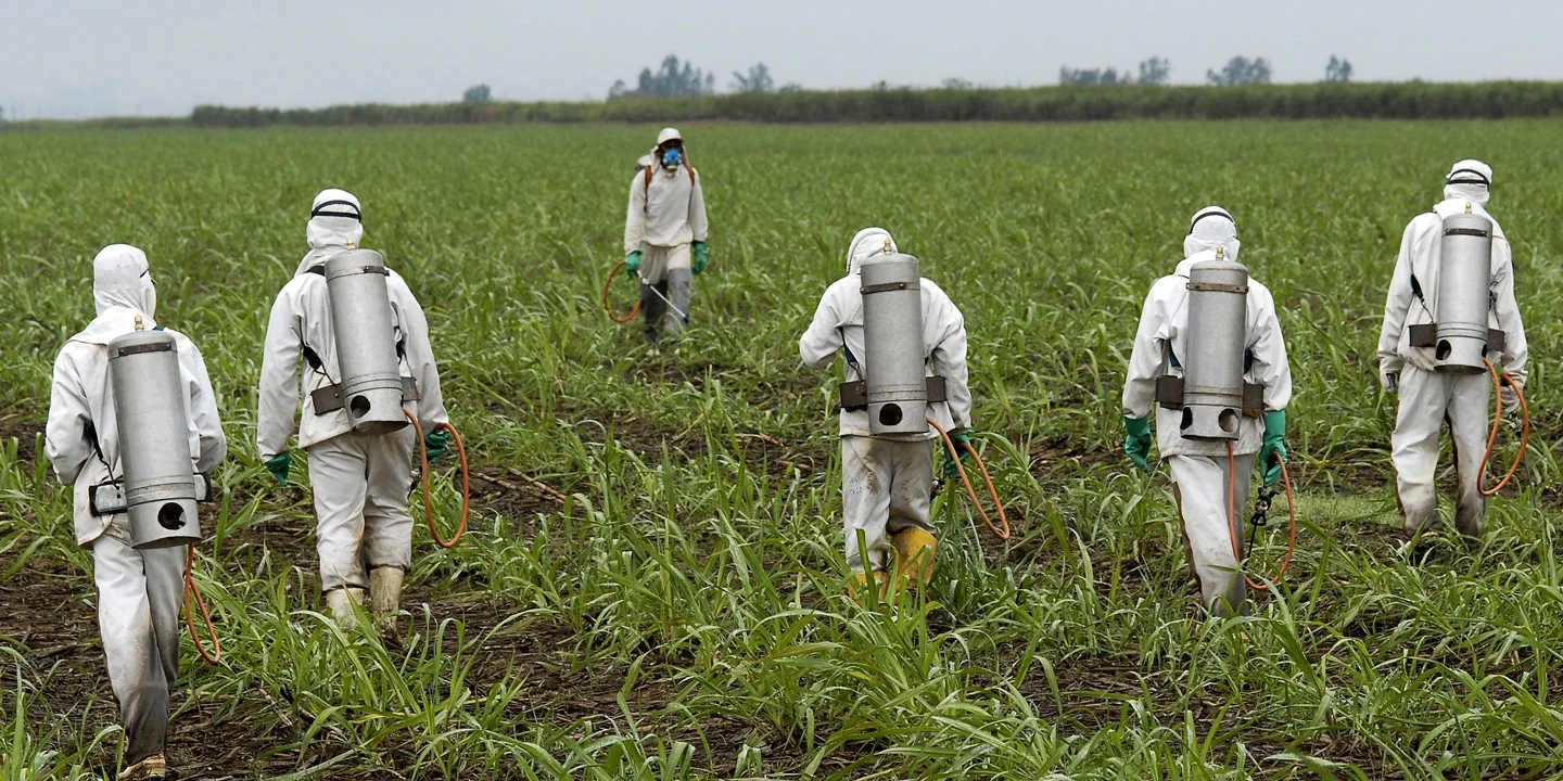 Poor Nutrition Produce may be Sabotaging our Health