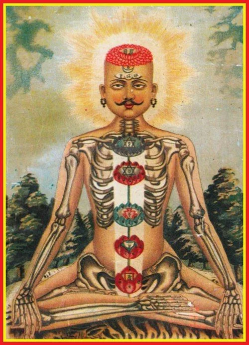 Ayurvedic Diet - Spiritually Minded Cuisine For Achieving Internal Balance