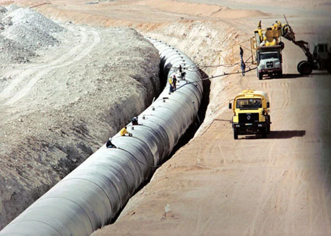 Muammar Gaddafi and the Libyan Government’s Dream of a United States of Africa
