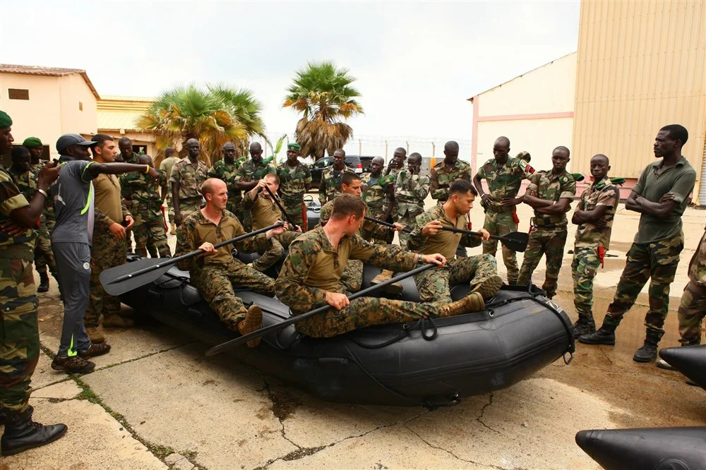  Muammar Gaddafi and the Libyan Government’s Dream of a United States of Africa