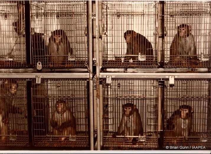 Ingrid Newkirk's Open Letter To The World: "NEVER BE SILENT."