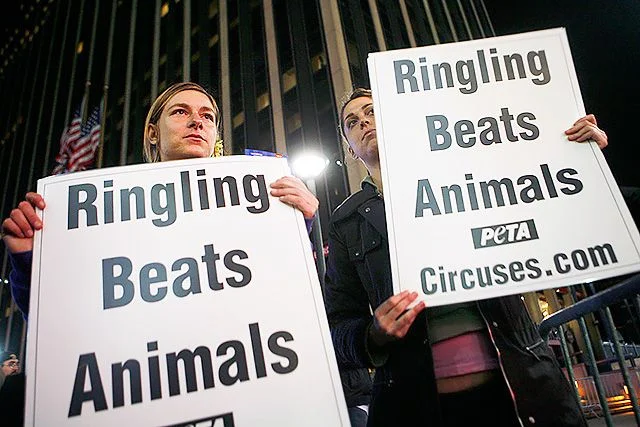 Ingrid Newkirk's Open Letter To The World: "NEVER BE SILENT."