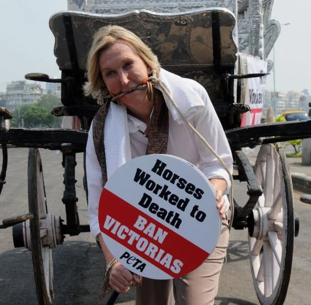 1227549847-04SMINGRID2_2265717f.jpg