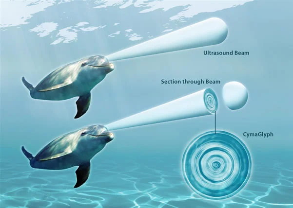 Cymatics - Decoding The Origins Of Life Through Sound Vibrations.