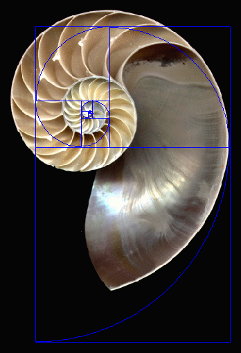 Cymatics - Decoding The Origins Of Life Through Sound Vibrations.