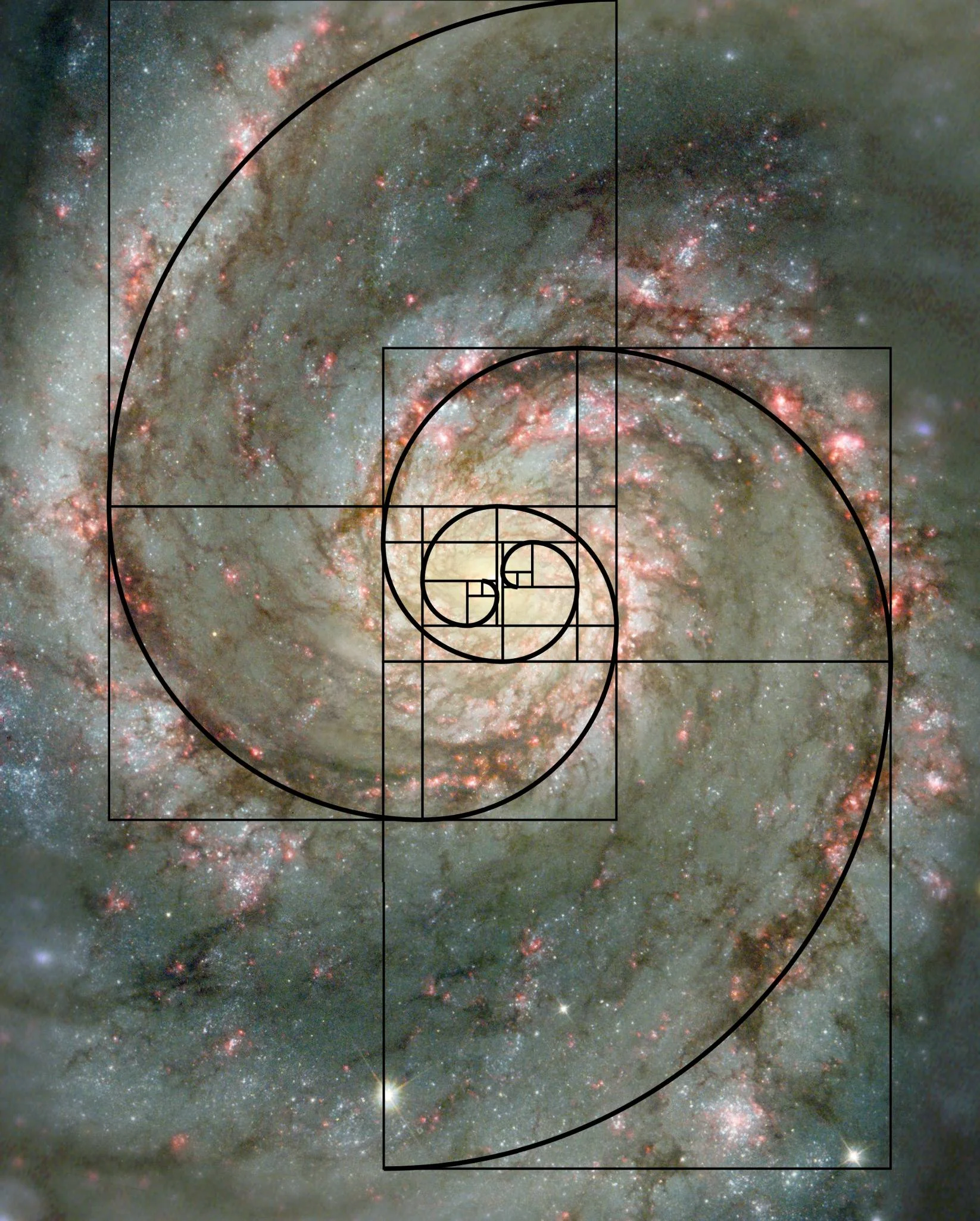 Cymatics - Decoding The Origins Of Life Through Sound Vibrations.