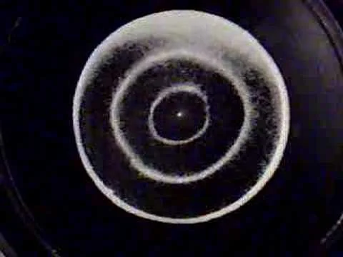 Cymatics - Decoding The Origins Of Life Through Sound Vibrations.