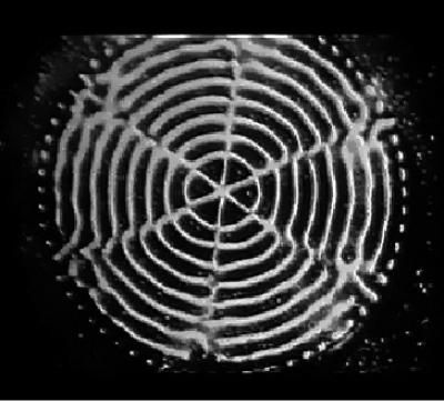 Cymatics - Decoding The Origins Of Life Through Sound Vibrations.