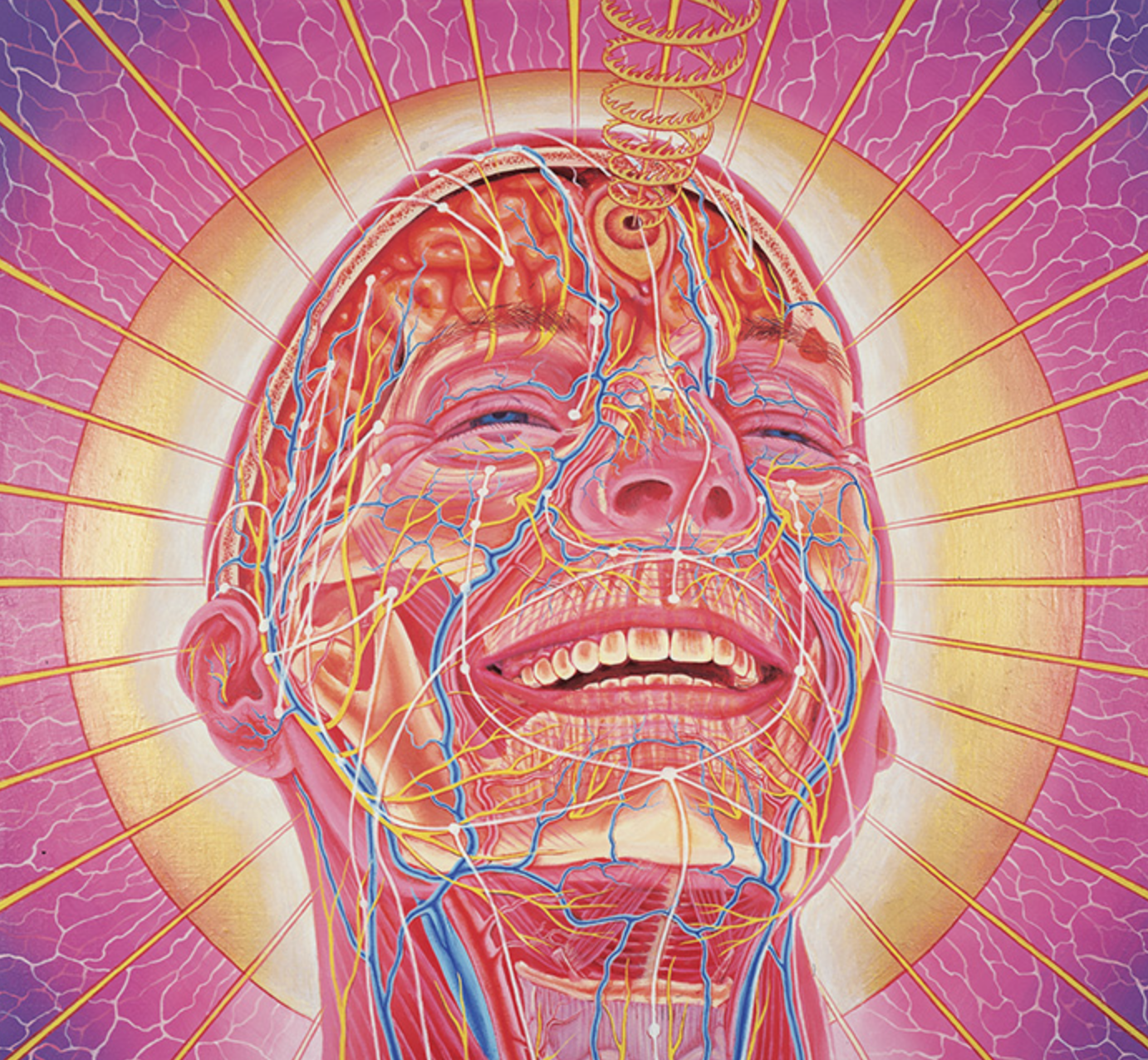 Laughing man (credit: Alex Grey)