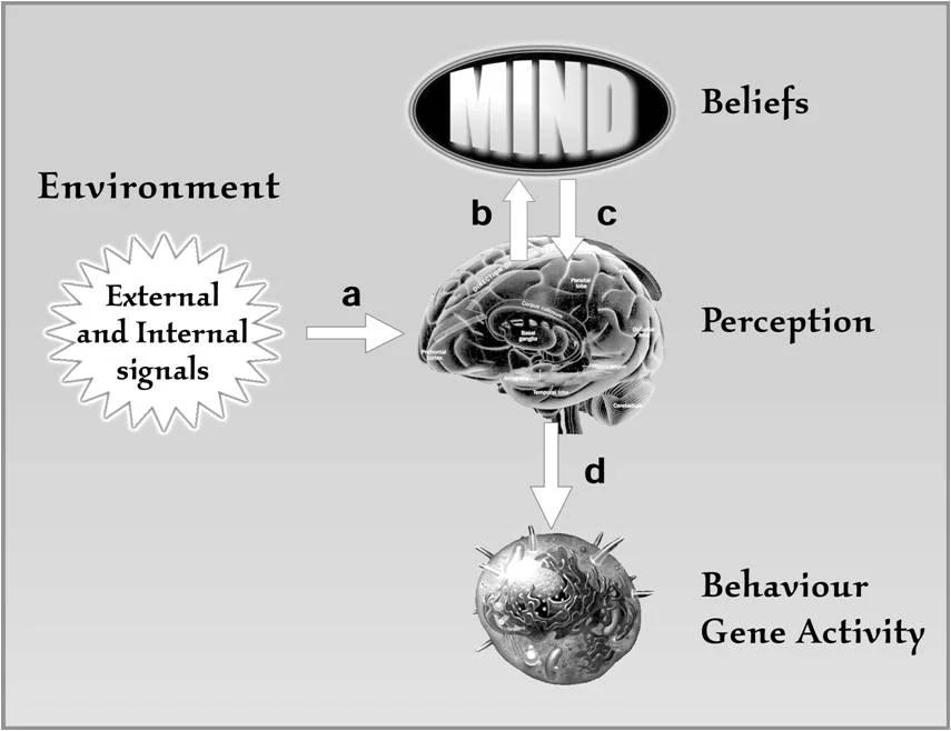 mind-cell.jpg