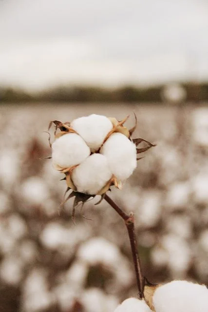 The Slow Fashion Movement - A Shift In Style Consciousness