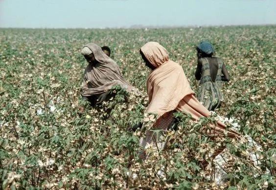 The Slow Fashion Movement - A Shift In Style Consciousness