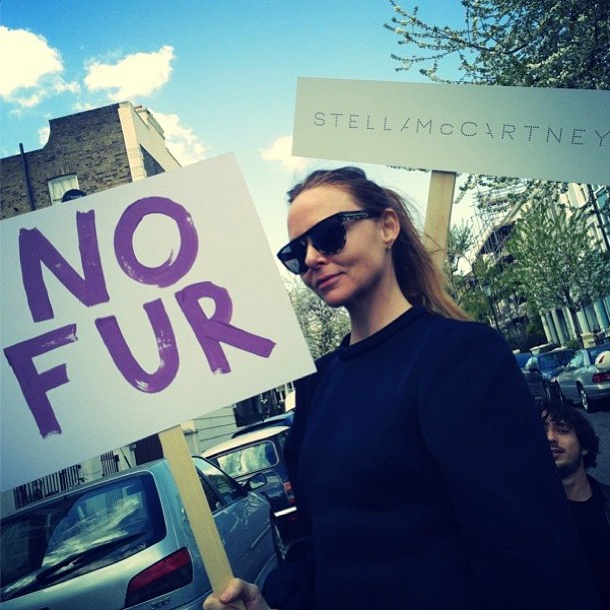 stella-no-fur.png