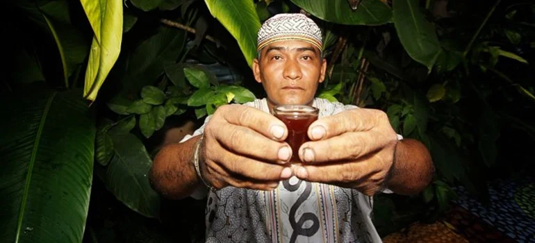 ayahuasca.jpg