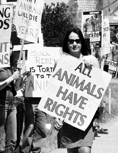 Are you an Annoying Vegan? - When Becoming Too Radical For What You Believe In Goes Wrong