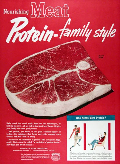 Are you an Annoying Vegan? - When Becoming Too Radical For What You Believe In Goes Wrong