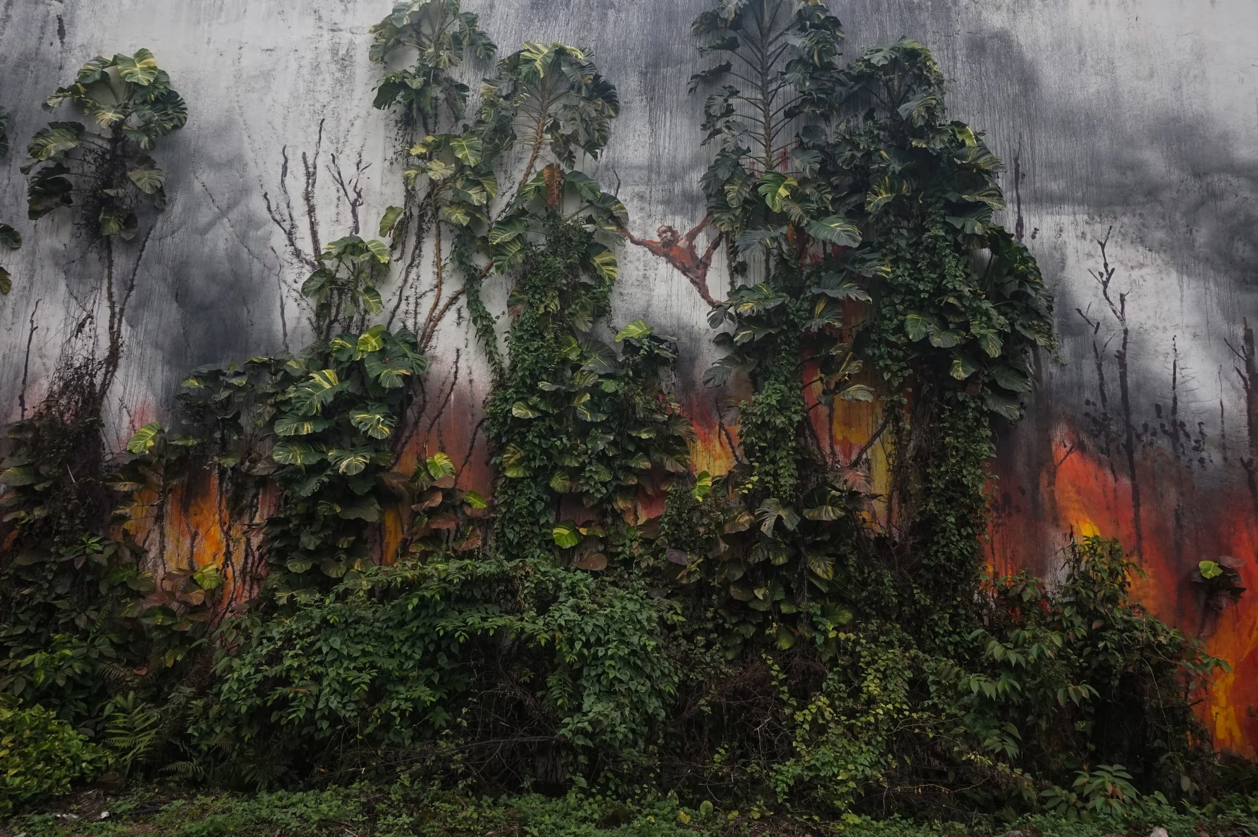 Painting the Pain of Palm Oil - The Splash And Burn Art Campaign 