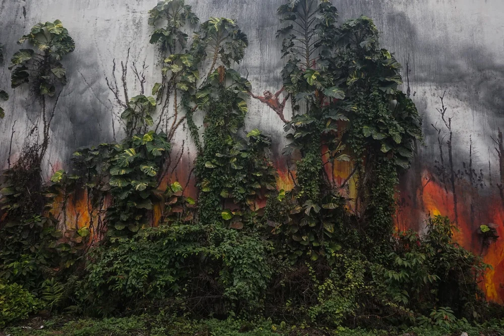 Painting the Pain of Palm Oil - The Splash And Burn Art Campaign 