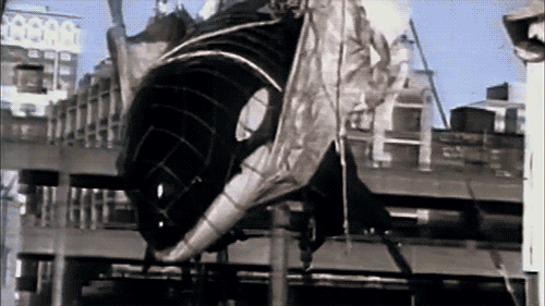 tumblr_mp5uh9V3sb1rjxfbno1_500.gif