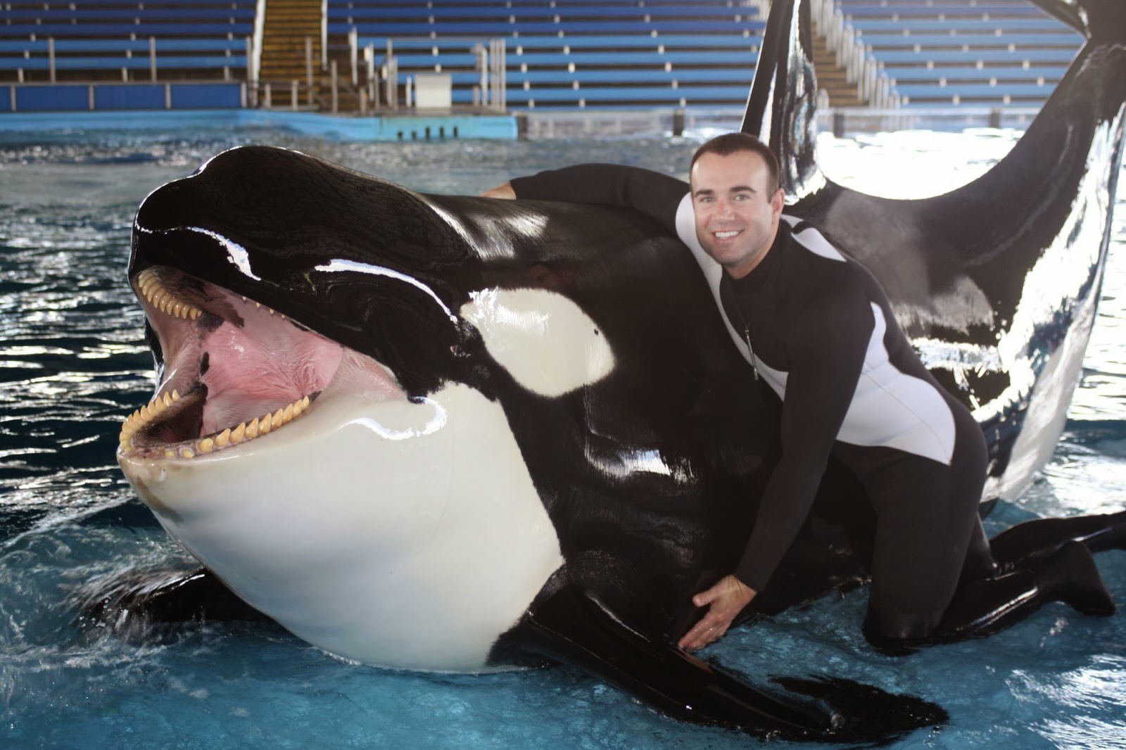 Blackfish.jpg